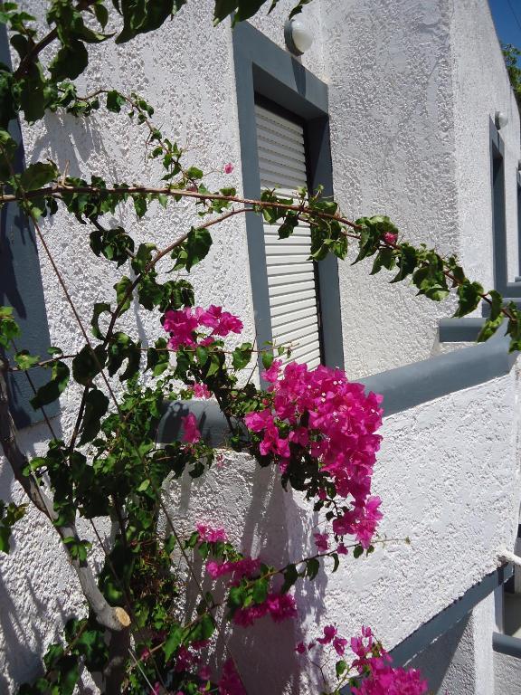 Fevro Hotel Agia Galini Exteriér fotografie